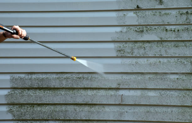 Best Attic Mold Removal  in Spring Arbor, MI