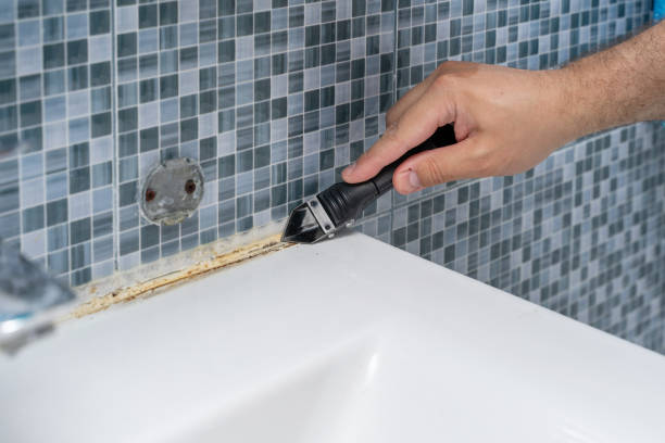 Best Local Mold Removal Service  in Spring Arbor, MI