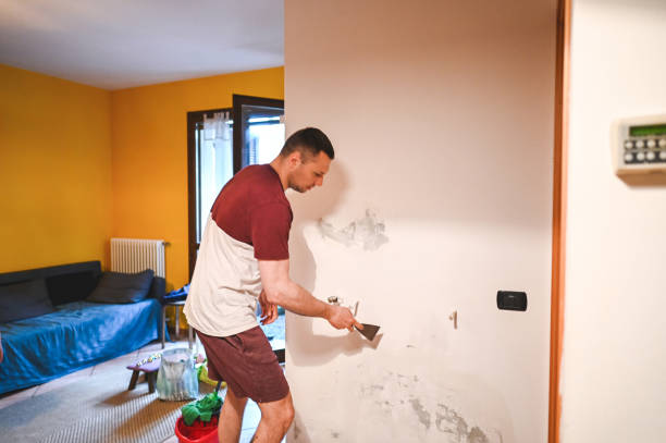 Best Emergency Mold Removal  in Spring Arbor, MI